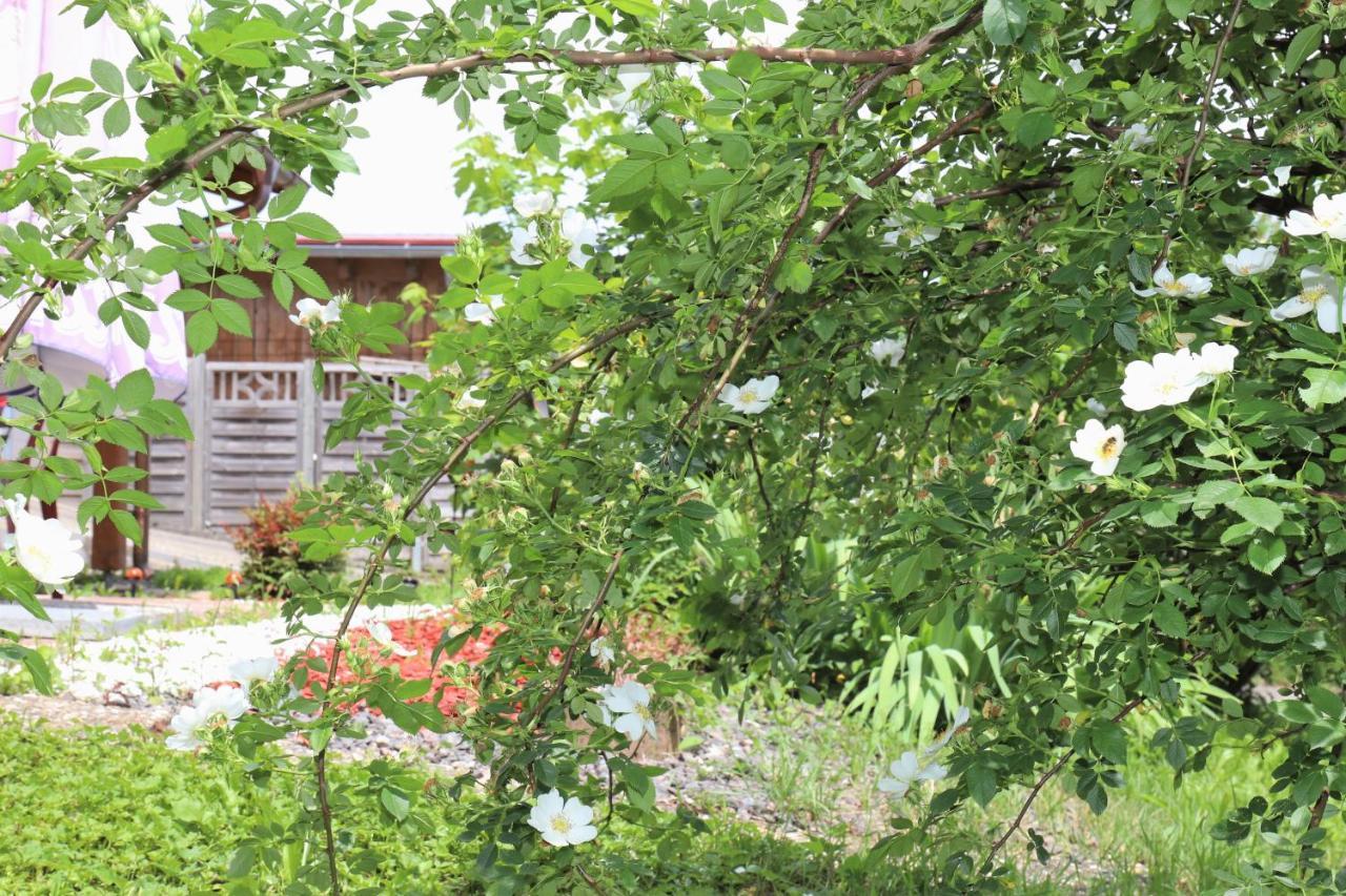 Gaestehaus Willaringen Rickenbach  エクステリア 写真