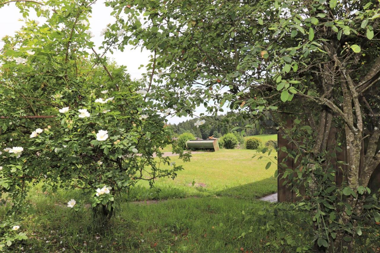 Gaestehaus Willaringen Rickenbach  エクステリア 写真